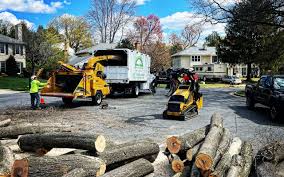 Best Firewood Processing and Delivery  in Lus Valley Marinwood, CA