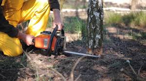 Best Lawn Watering Services  in Lus Valley Marinwood, CA